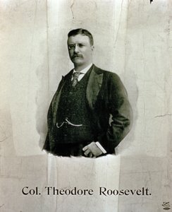Portrét plukovníka Theodora Roosevelta od American School