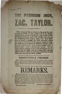 Jednání a adresa Ústavního konventu, c. 19th March 1861 od American School
