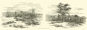 Scény na poli po bitvě, září 1862 od American School