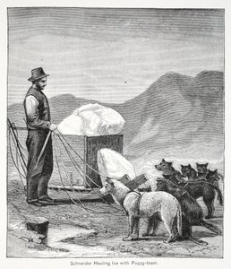 Schneider vozí led s Puppy-team, hospoda. Londýn 1886 od American School
