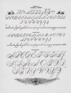 Standardní dopisy; Dámská ruka; Celá paže Capitals (rytina) od American School