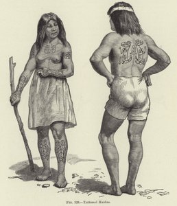 Tattooed Haidas od American School