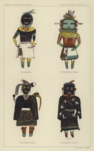 Tcakwaina, Tcakwaina Taamu, Tcakwaina Mana, Tcakwaina Yuadta (barevná litografie) od American School