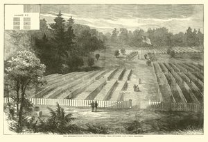 Pohřebiště Andersonville, kde bylo pohřbeno 14 000 vězňů Unie, květen 1865 od American School