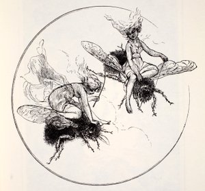 The Days, of The World Guide to Gnomes, Fairy, Elves and Other Little People Thomas Keightley (1789-1872) Vydáno 1880 od American School