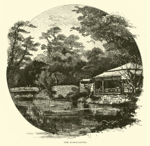 Hamagarten od American School