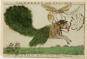 Sršeň a páv aneb John Bull v tísni, 1813 (lept s rytinou) od American School