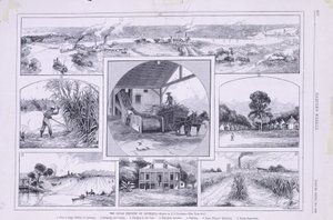 Cukrovarnický průmysl v Louisianě od American School