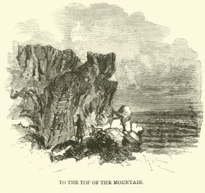 Na vrchol hory, listopad 1863 od American School