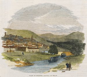Pohled na Houston, hlavní město Texasu, c. 1852 (ručně kolorovaná dřevorytina) od American School