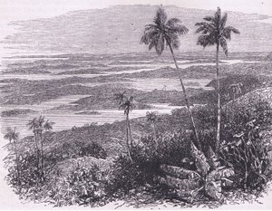Pohled na Bermudy, ilustrace z Cassell