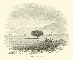 Pohled na Teche, duben 1863 od American School