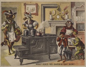 Co teď říká pan Darwin? (chromolitho) od American School
