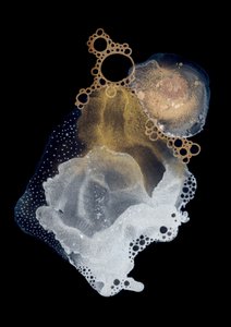 Tekutý zlatý lesk od Amy Louise Baker