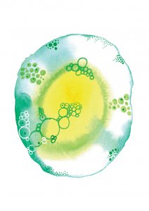 Organické tekuté bubliny od Amy Louise Baker