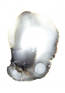 Vzor XI od Amy Louise Baker