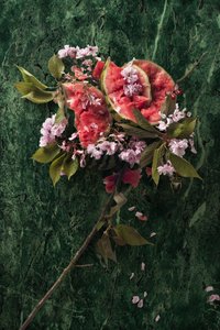 Eve_09, 2016 (Fotografie) od Ana Carolina Tavares Mizrahi