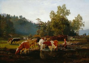 Krávy u řeky