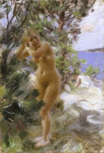 Po koupeli od Anders Leonard Zorn