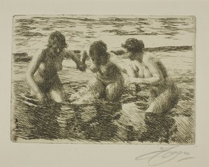 Proti proudu od Anders Leonard Zorn