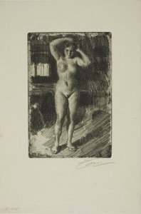 Anna si dělá vlasy od Anders Leonard Zorn