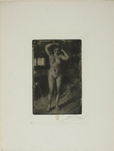 Anna si dělá vlasy od Anders Leonard Zorn