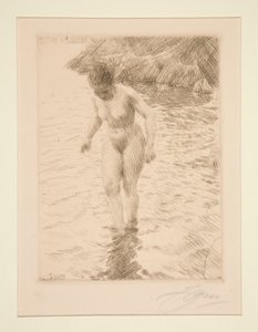 dolarů od Anders Leonard Zorn