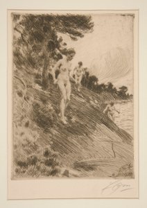 Vystrašený od Anders Leonard Zorn