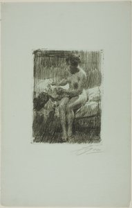 Modelové čtení od Anders Leonard Zorn