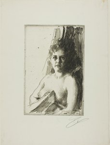 Studium aktu III od Anders Leonard Zorn