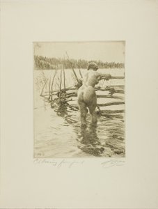 Plot od Anders Leonard Zorn