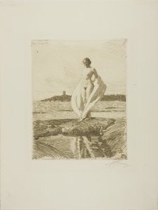 Labuť od Anders Leonard Zorn