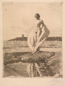 Labuť od Anders Leonard Zorn