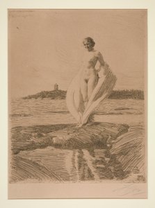 Labuť od Anders Leonard Zorn