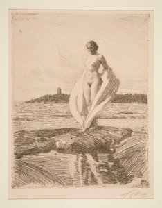 Labuť od Anders Leonard Zorn
