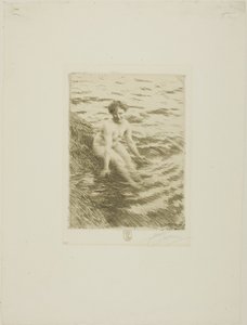 Mokrý od Anders Leonard Zorn