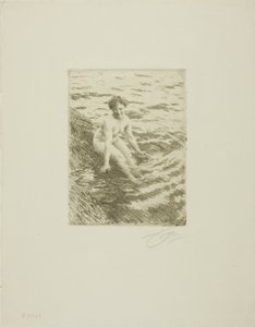 Mokrý od Anders Leonard Zorn
