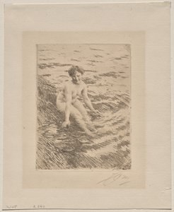 Mokrý od Anders Leonard Zorn