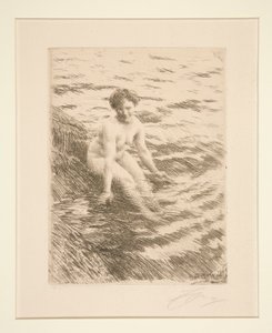 Mokrý od Anders Leonard Zorn