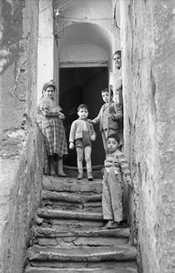 CROTONE - NA SCHODECH od Ando Gilardi