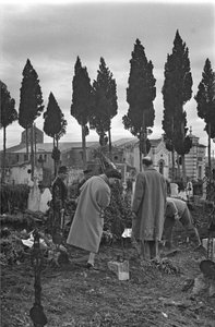 Cemeterey, Venosa, Basilicata, Itálie