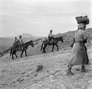 Zemědělci vracející se domů z polí v Lucanii, Basilicata, Itálie