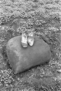 BOTY Z RACCOGLITRICE OLIV od Ando Gilardi