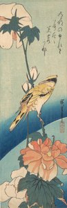 Žluva černohlavá na stonku slézu růže, ca. 1834, ca. 1834. od Ando Hiroshige