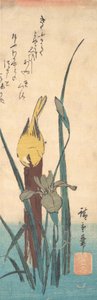 Pták a Iris. od Ando Hiroshige