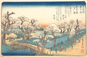 Večerní záře na hranici Koganei, 19. století. od Ando Hiroshige