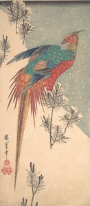 Zlatý bažant a borovice střílí ve sněhu, ca. 1835, ca. 1835. od Ando Hiroshige