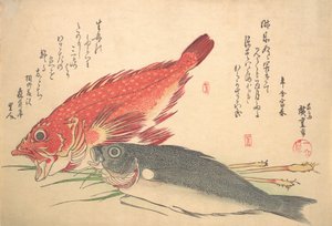Isaki a Kasago Fish, ze série Uozukushi Every Variety of Fish, 30. léta 19. století, 30. léta 19. století. od Ando Hiroshige