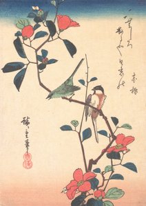 Japonský bělooký a sýkora na větvi kamélie, ca. 1840, ca. 1840. od Ando Hiroshige