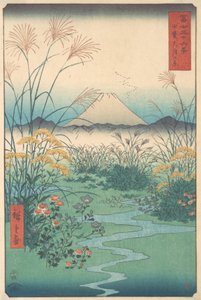 Kai, Otsuki no Hara, 4. měsíc rok koně 1858., 4. měsíc rok koně 1858.